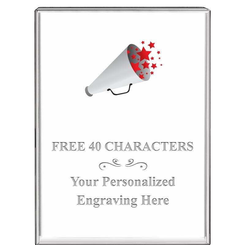 3"x4"VERTICAL DISPLAY CRYSTL