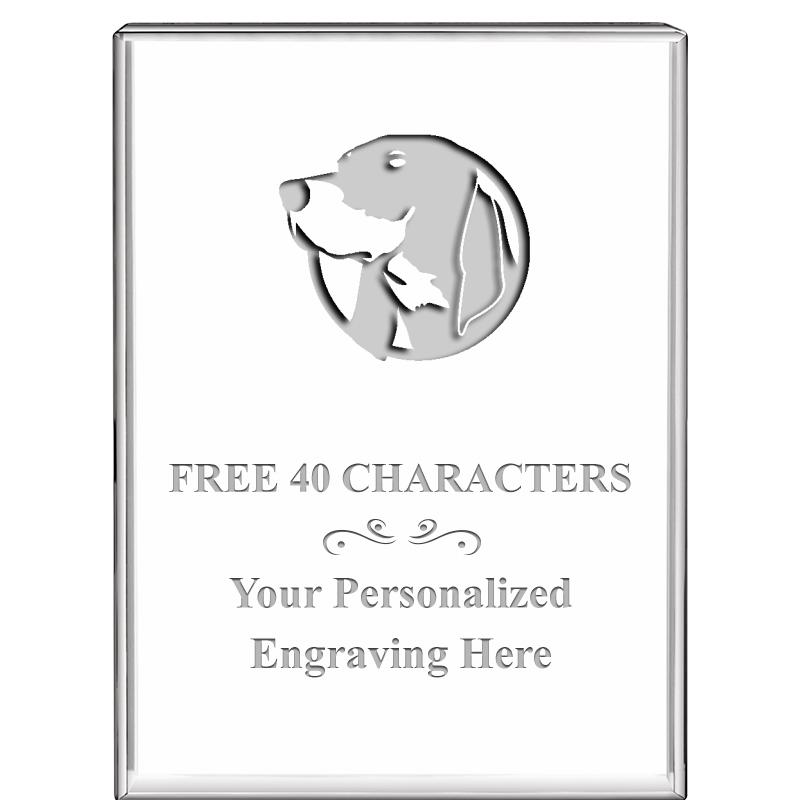 3"x4"VERTICAL DISPLAY CRYSTL