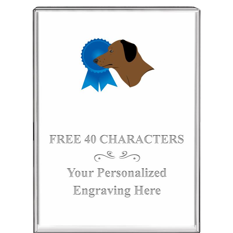 3"x4"VERTICAL DISPLAY CRYSTL