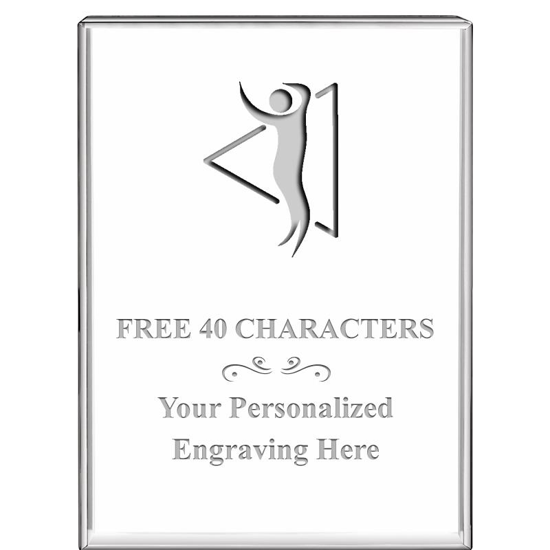 3"x4"VERTICAL DISPLAY CRYSTL