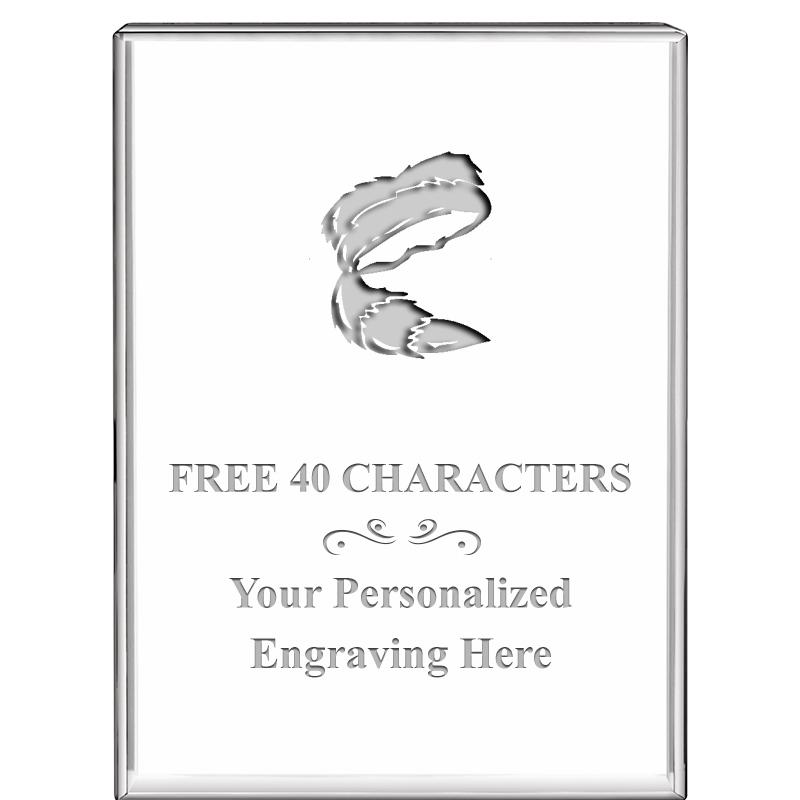 3"x4"VERTICAL DISPLAY CRYSTL