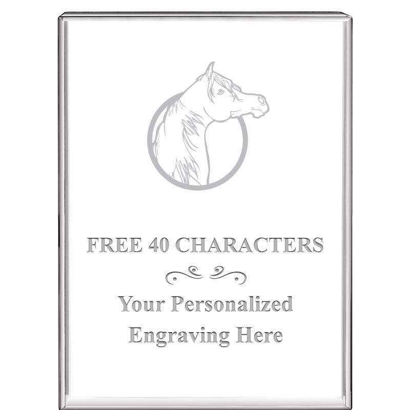 3"x4"VERTICAL DISPLAY CRYSTL