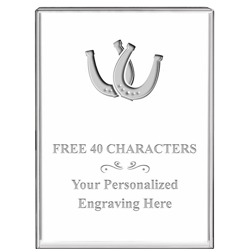 3"x4"VERTICAL DISPLAY CRYSTL