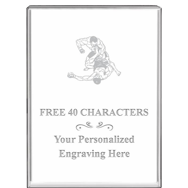 3"x4"VERTICAL DISPLAY CRYSTL