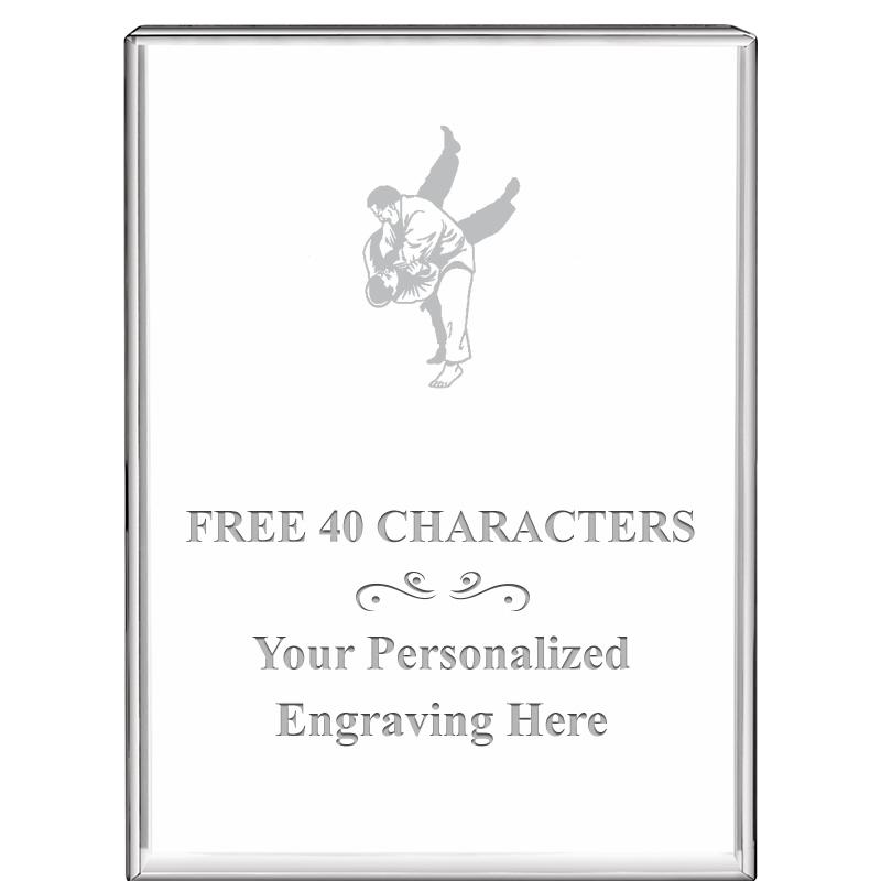 3"x4"VERTICAL DISPLAY CRYSTL