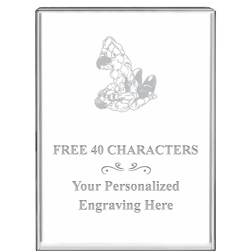 3"x4"VERTICAL DISPLAY CRYSTL