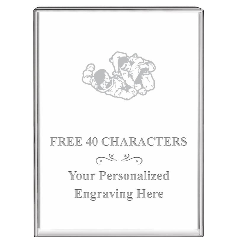 3"x4"VERTICAL DISPLAY CRYSTL