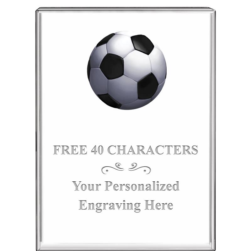 3"x4"VERTICAL DISPLAY CRYSTL