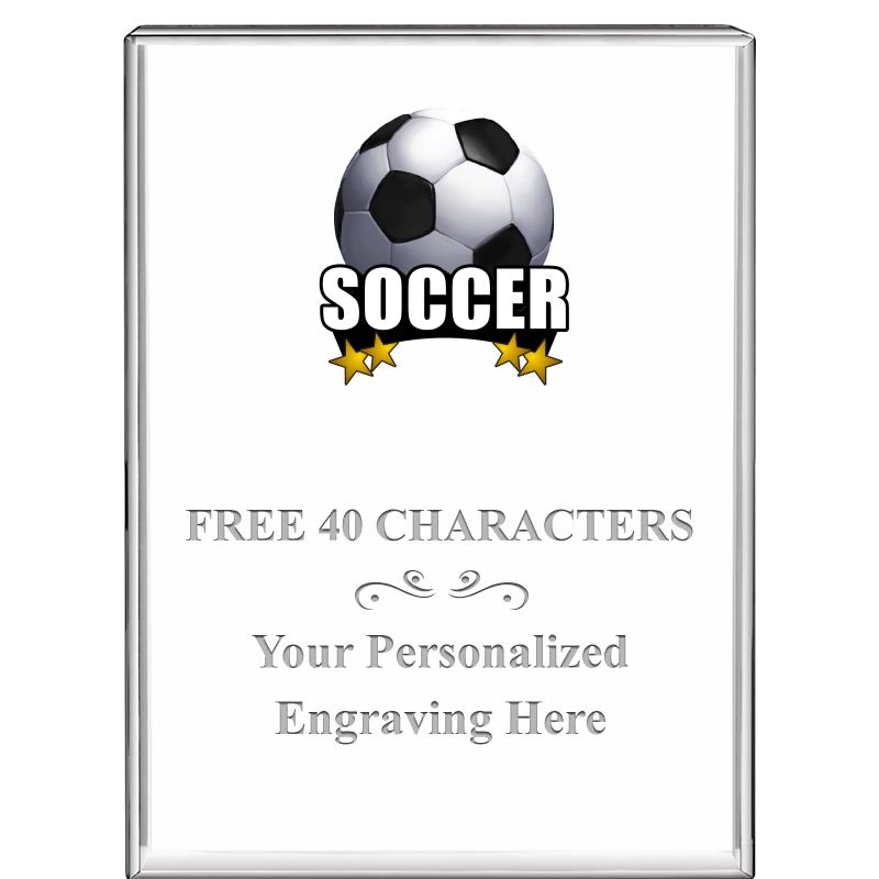 3"x4"VERTICAL DISPLAY CRYSTL