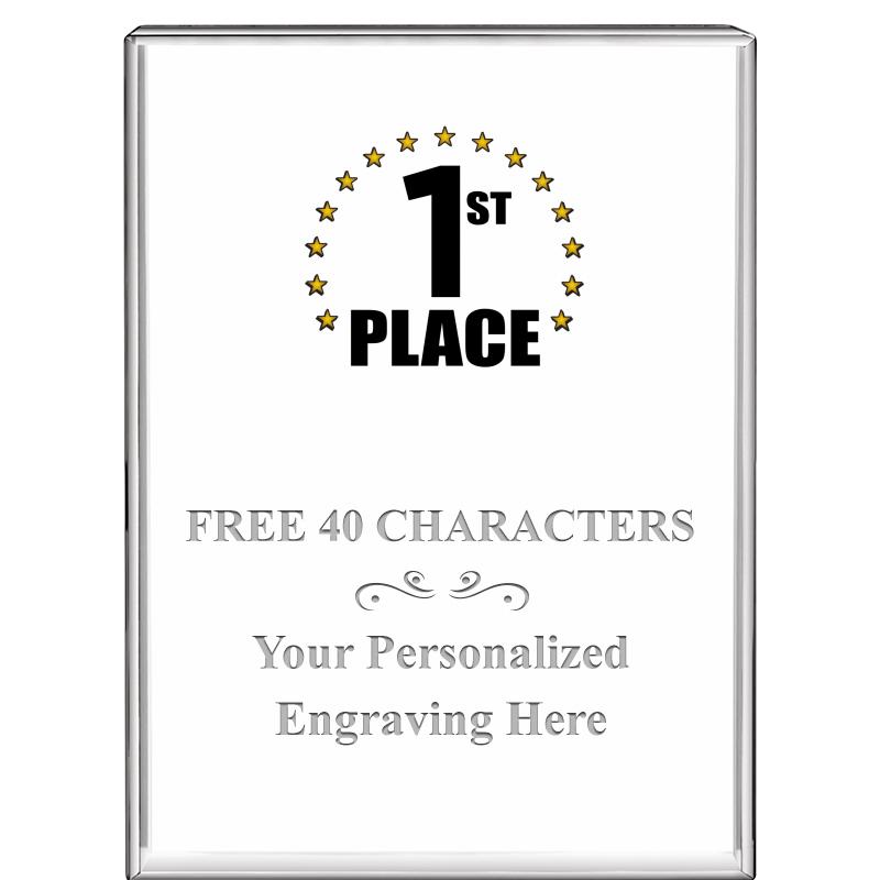 3"x4"VERTICAL DISPLAY CRYSTL