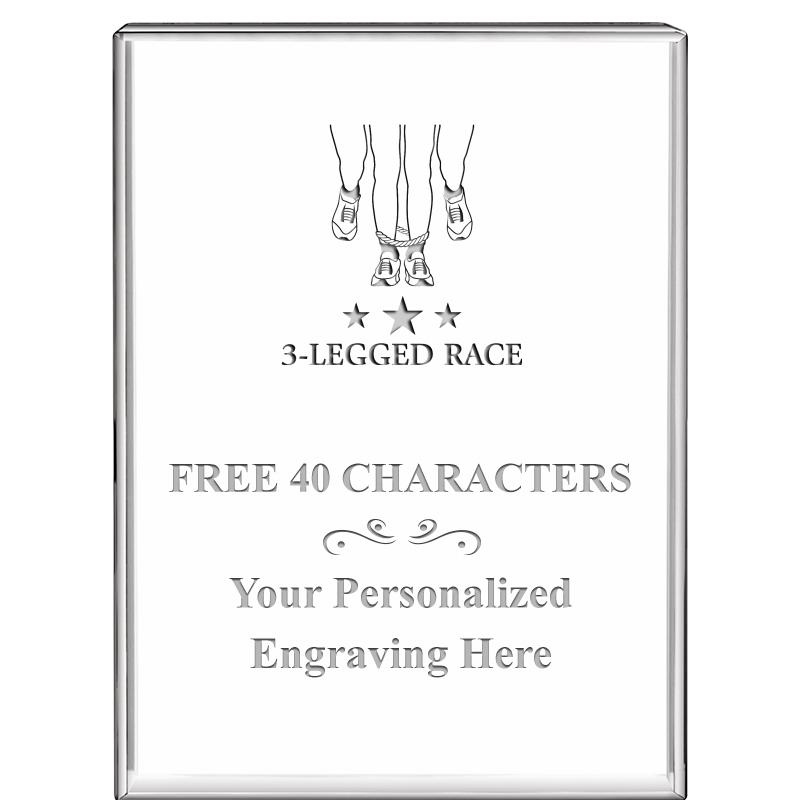 3"x4"VERTICAL DISPLAY CRYSTL