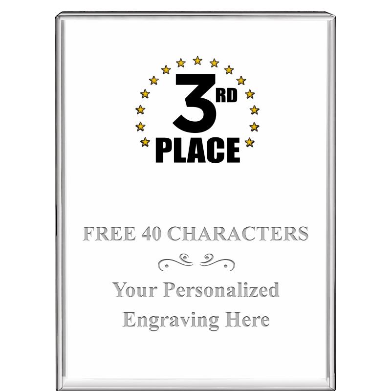 3"x4"VERTICAL DISPLAY CRYSTL