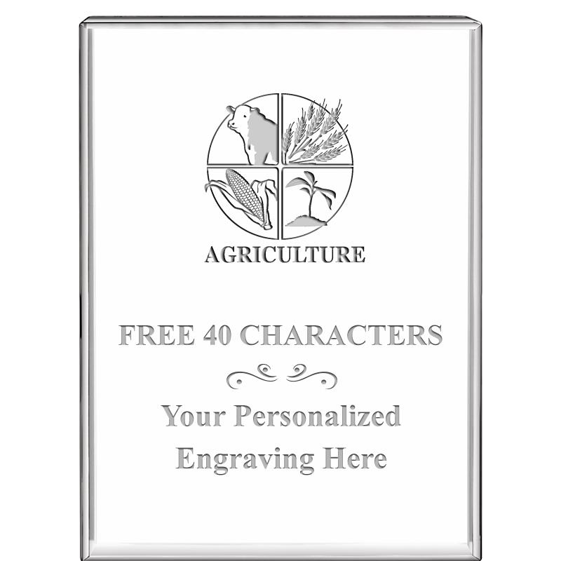 3"x4"VERTICAL DISPLAY CRYSTL