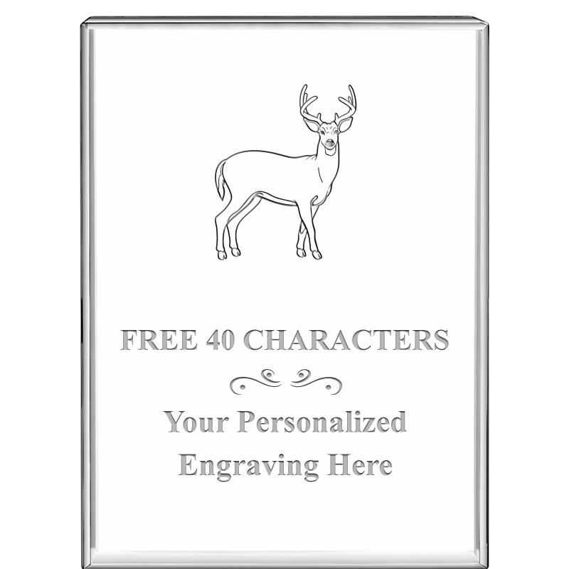 3"x4"VERTICAL DISPLAY CRYSTL