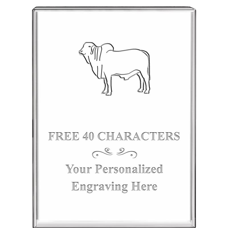 3"x4"VERTICAL DISPLAY CRYSTL