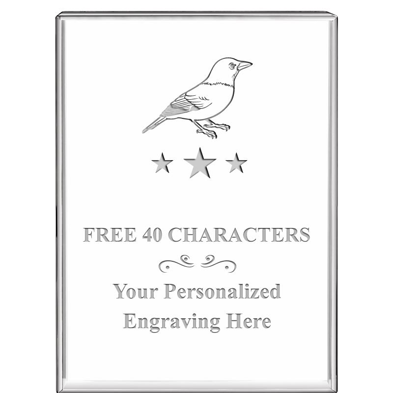 3"x4"VERTICAL DISPLAY CRYSTL