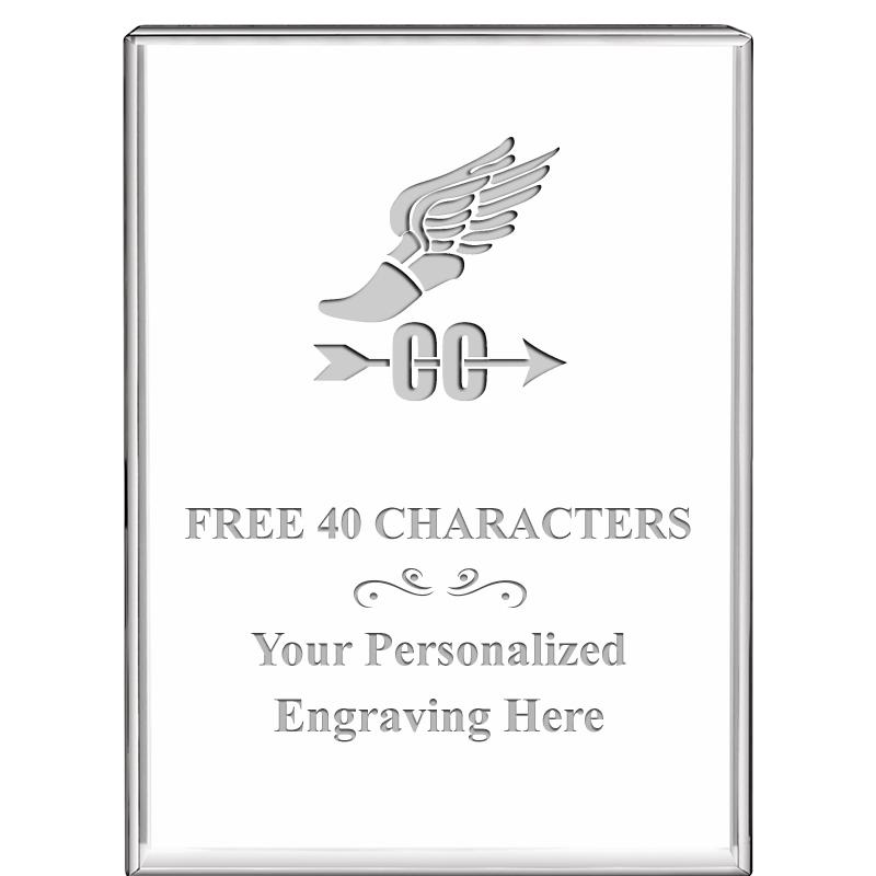 3"x4"VERTICAL DISPLAY CRYSTL