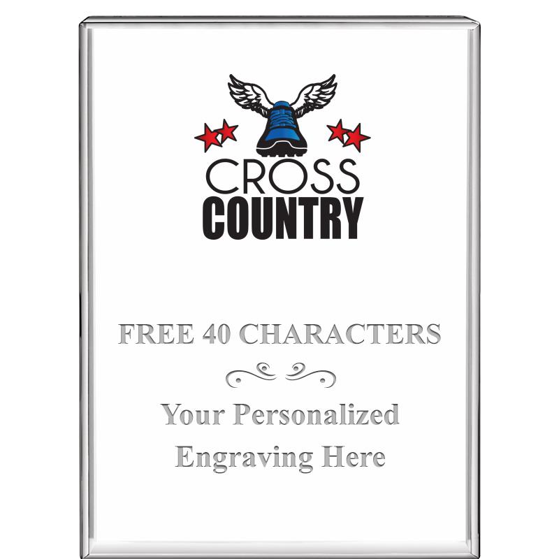 3"x4"VERTICAL DISPLAY CRYSTL