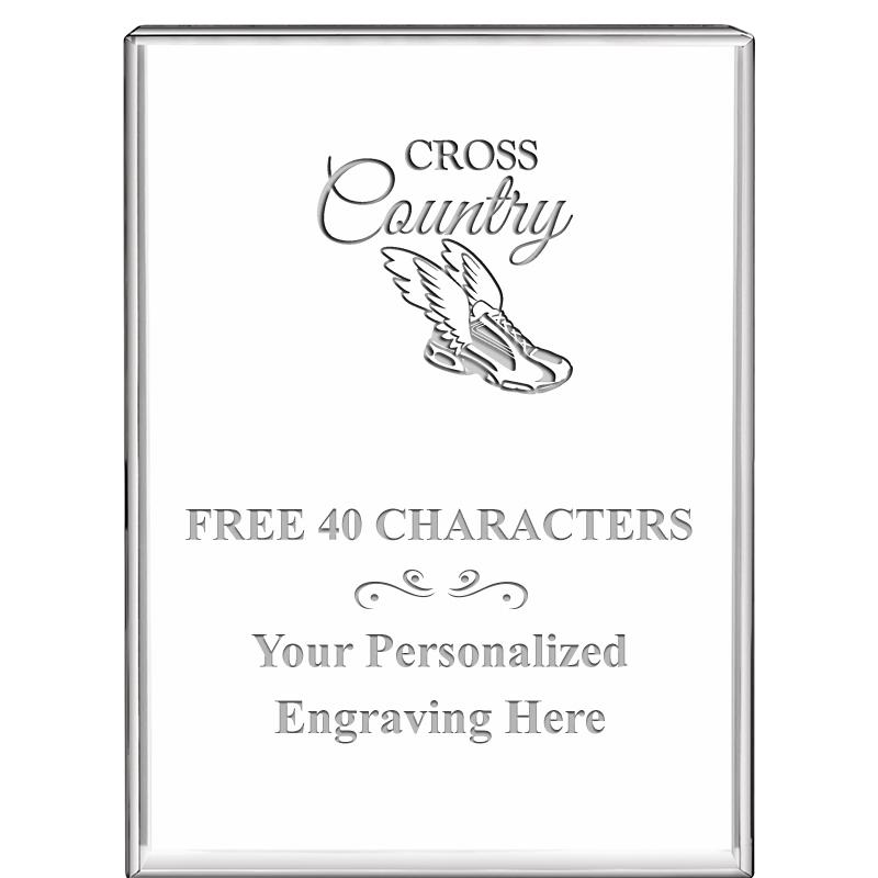 3"x4"VERTICAL DISPLAY CRYSTL