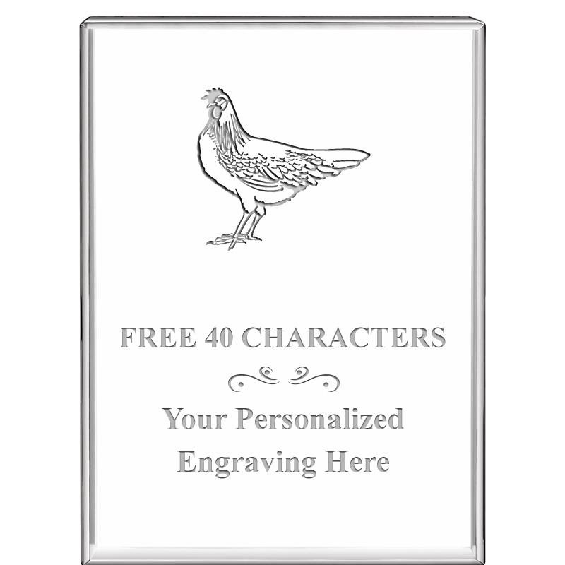 3"x4"VERTICAL DISPLAY CRYSTL