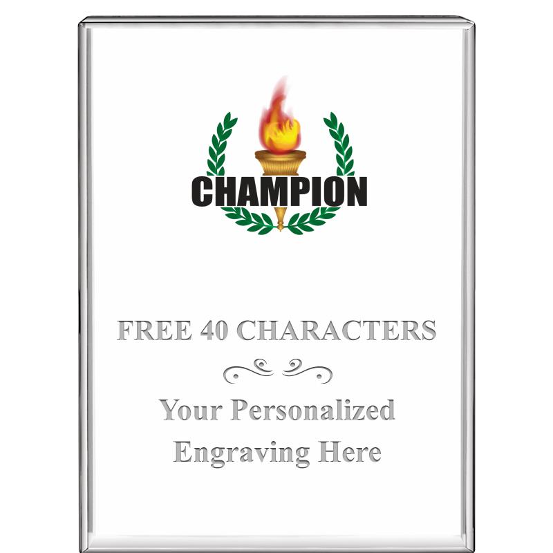 3"x4"VERTICAL DISPLAY CRYSTL