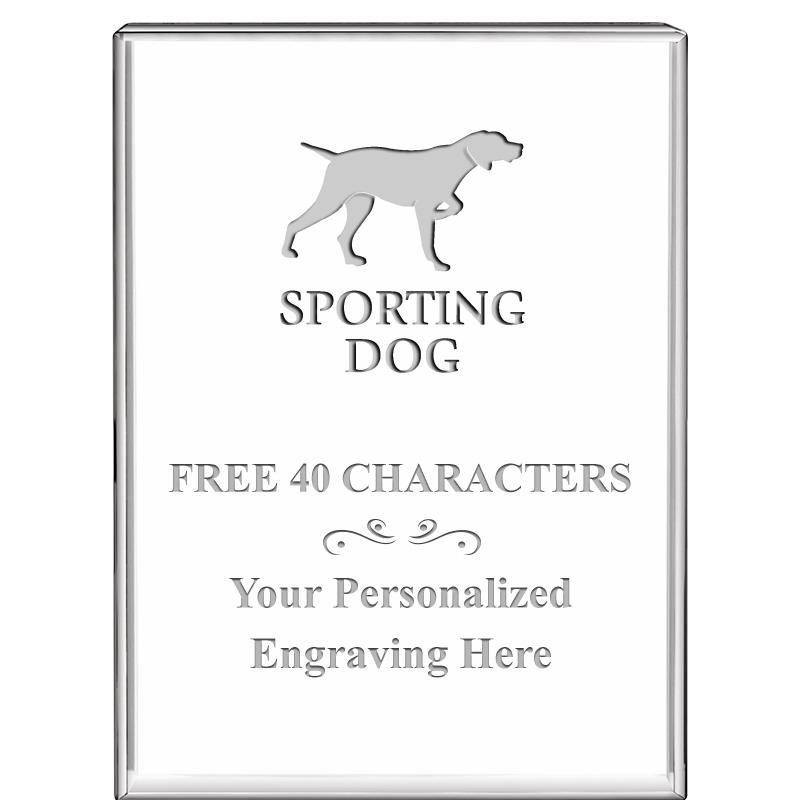 3"x4"VERTICAL DISPLAY CRYSTL