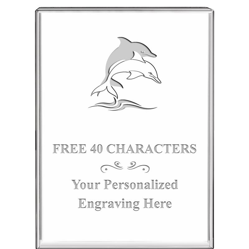 3"x4"VERTICAL DISPLAY CRYSTL