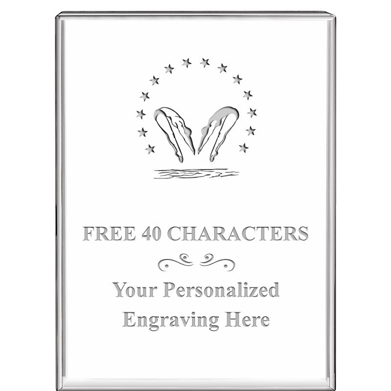 3"x4"VERTICAL DISPLAY CRYSTL