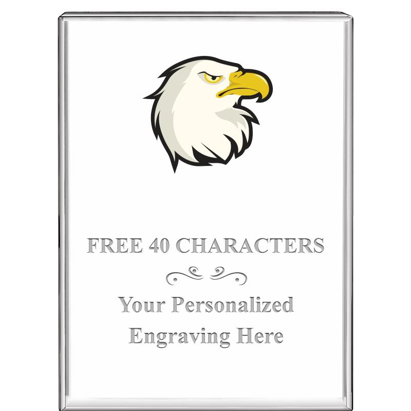 3"x4"VERTICAL DISPLAY CRYSTL