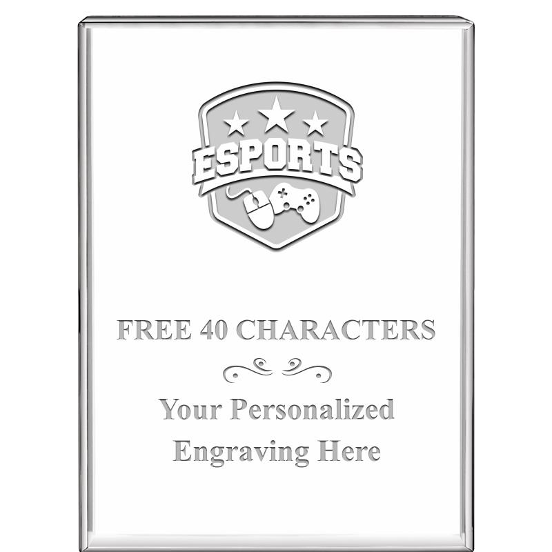 3"x4"VERTICAL DISPLAY CRYSTL