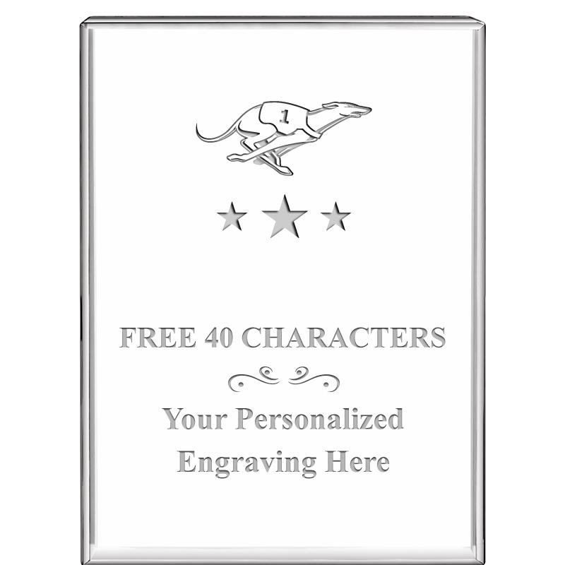 3"x4"VERTICAL DISPLAY CRYSTL