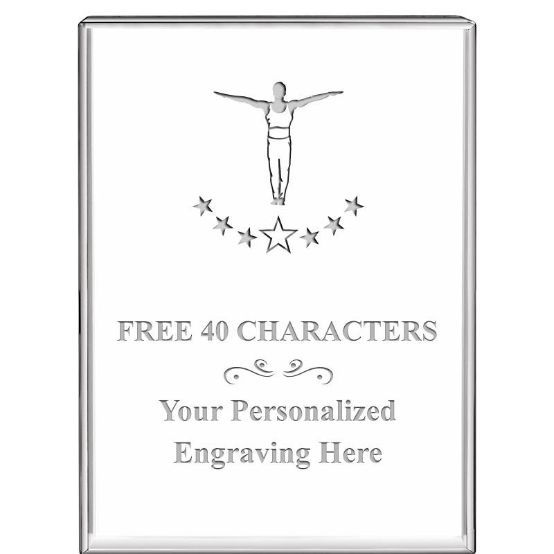 3"x4"VERTICAL DISPLAY CRYSTL