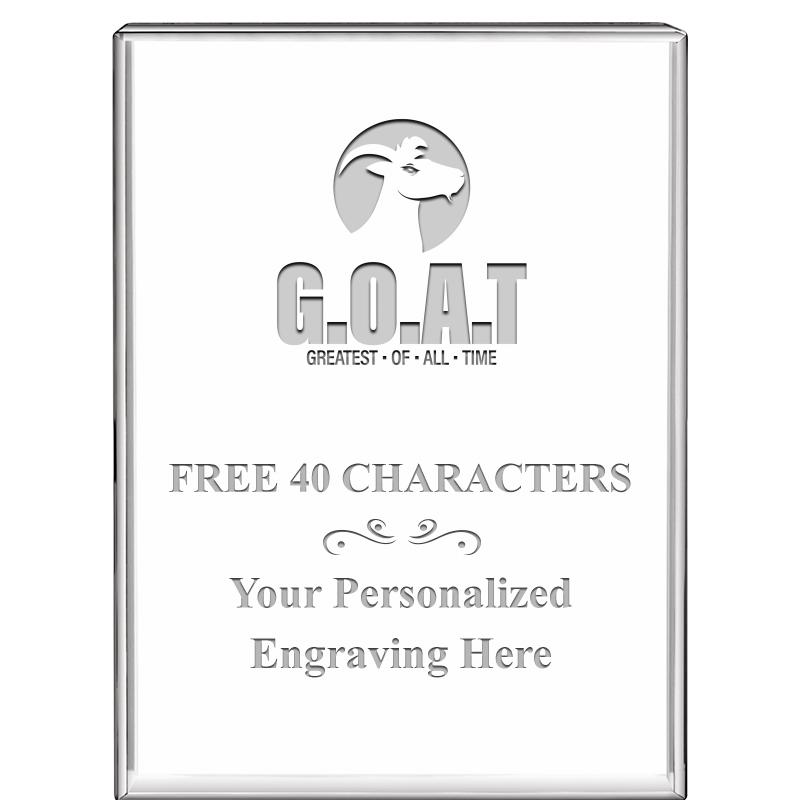 3"x4"VERTICAL DISPLAY CRYSTL