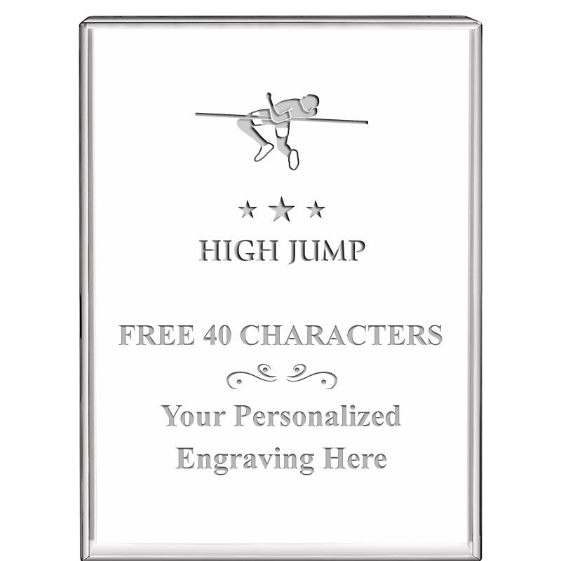 3"x4"VERTICAL DISPLAY CRYSTL