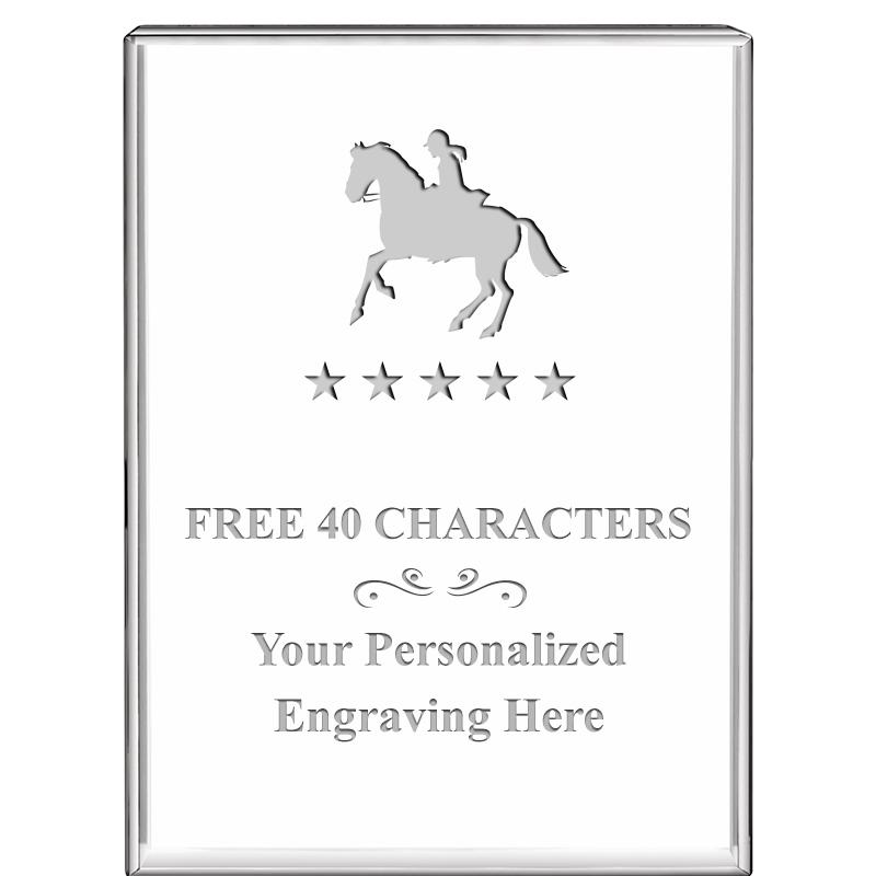 3"x4"VERTICAL DISPLAY CRYSTL