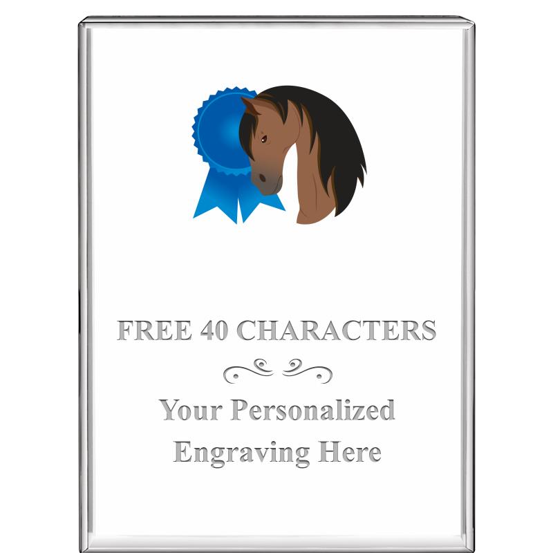 3"x4"VERTICAL DISPLAY CRYSTL