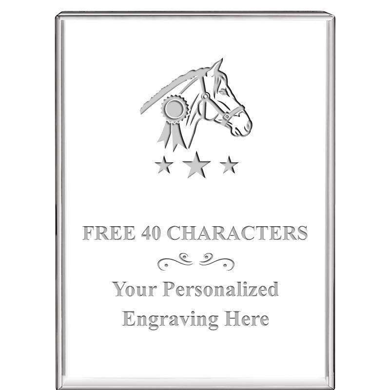 3"x4"VERTICAL DISPLAY CRYSTL