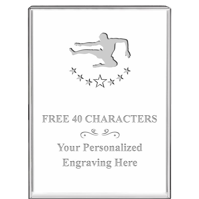 3"x4"VERTICAL DISPLAY CRYSTL