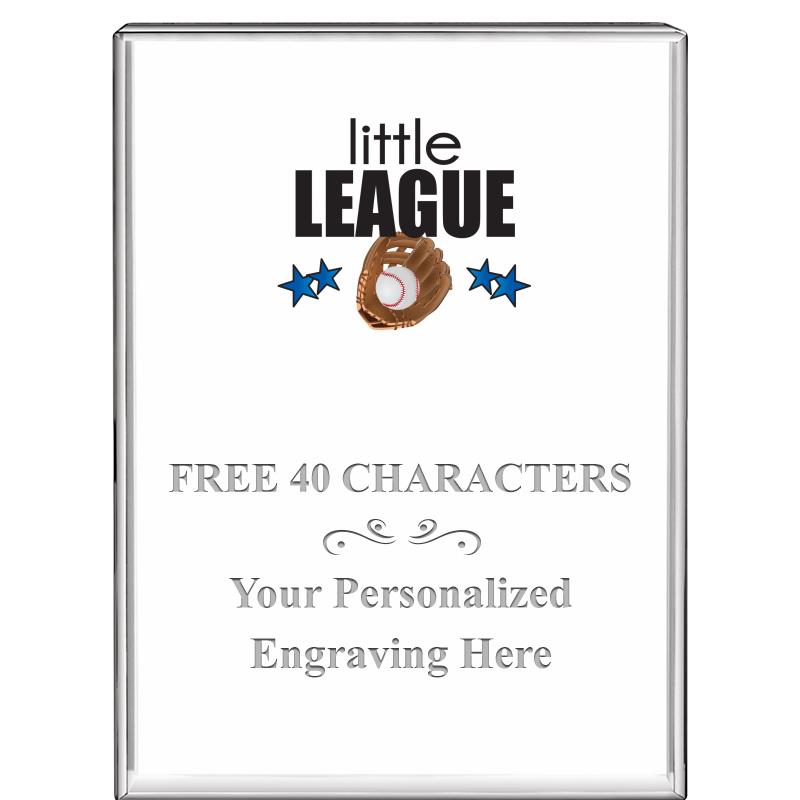 3"x4"VERTICAL DISPLAY CRYSTL