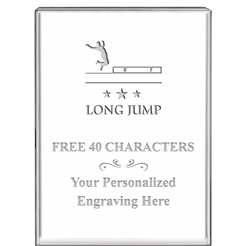 3"x4"VERTICAL DISPLAY CRYSTL