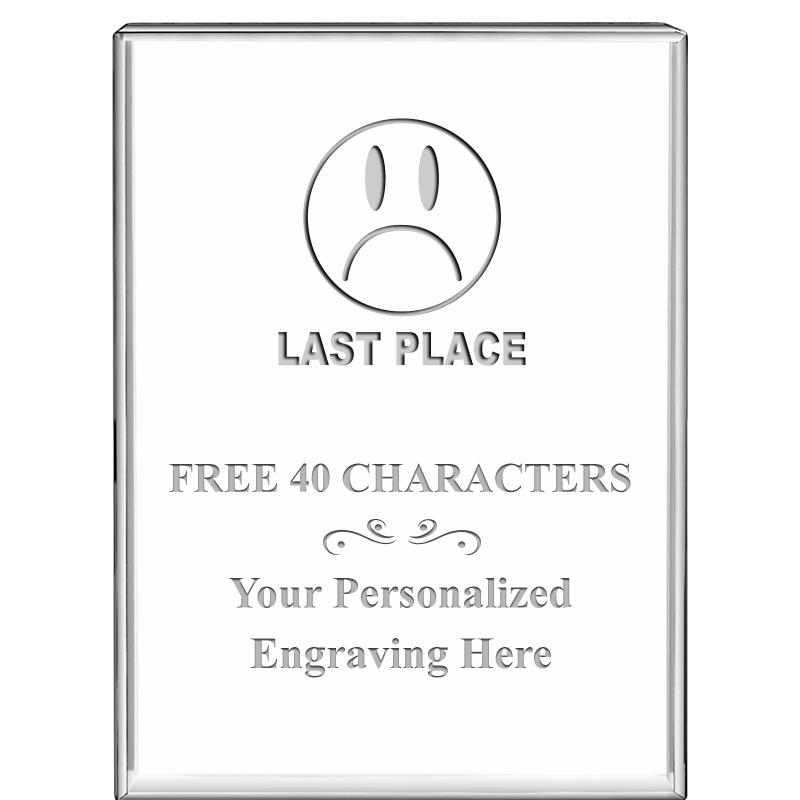 3"x4"VERTICAL DISPLAY CRYSTL