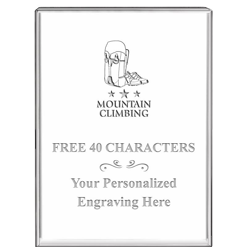 3"x4"VERTICAL DISPLAY CRYSTL