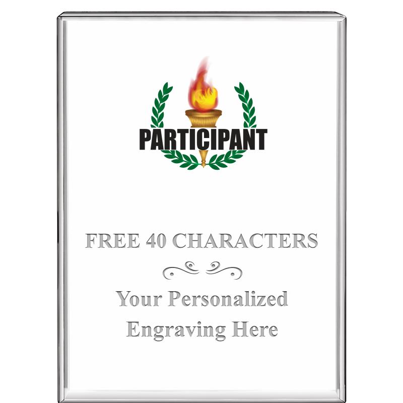 3"x4"VERTICAL DISPLAY CRYSTL