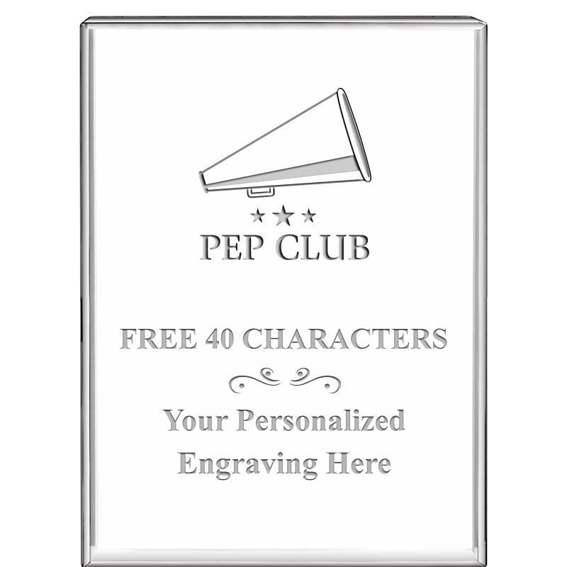 3"x4"VERTICAL DISPLAY CRYSTL