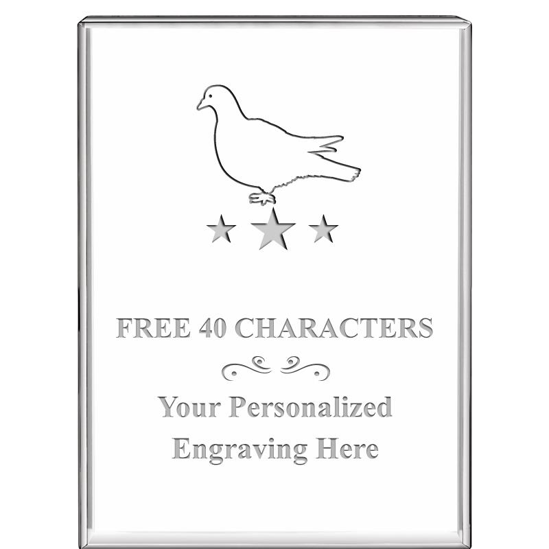 3"x4"VERTICAL DISPLAY CRYSTL