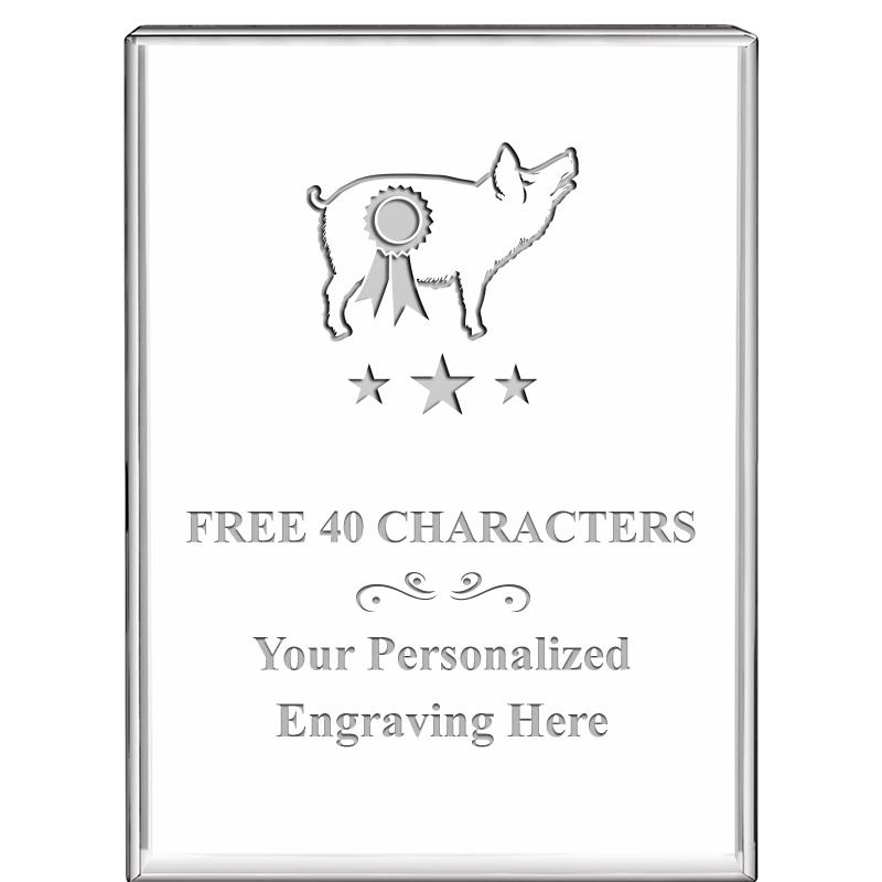 3"x4"VERTICAL DISPLAY CRYSTL