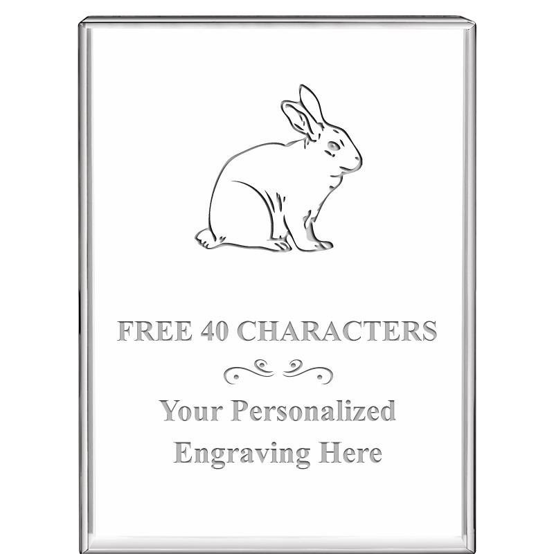 3"x4"VERTICAL DISPLAY CRYSTL