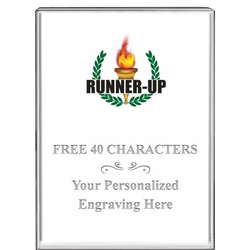 3"x4"VERTICAL DISPLAY CRYSTL