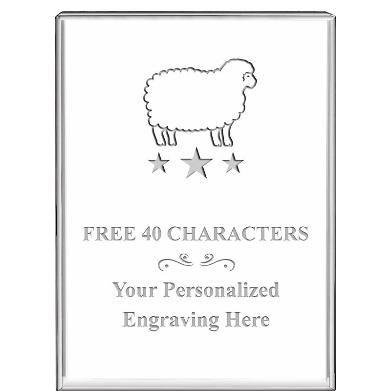 3"x4"VERTICAL DISPLAY CRYSTL