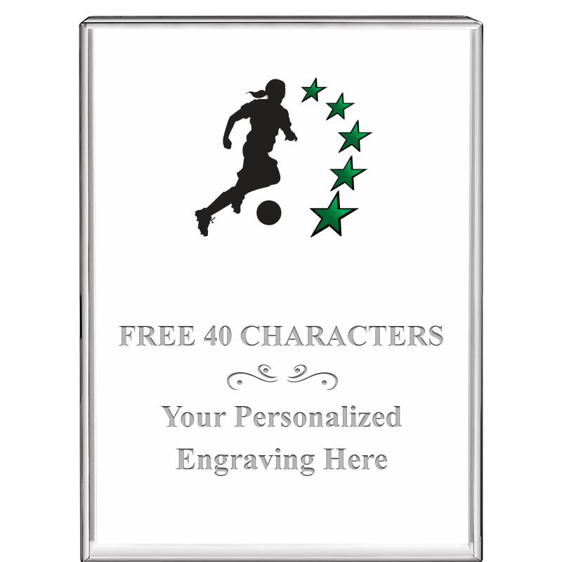 3"x4"VERTICAL DISPLAY CRYSTL